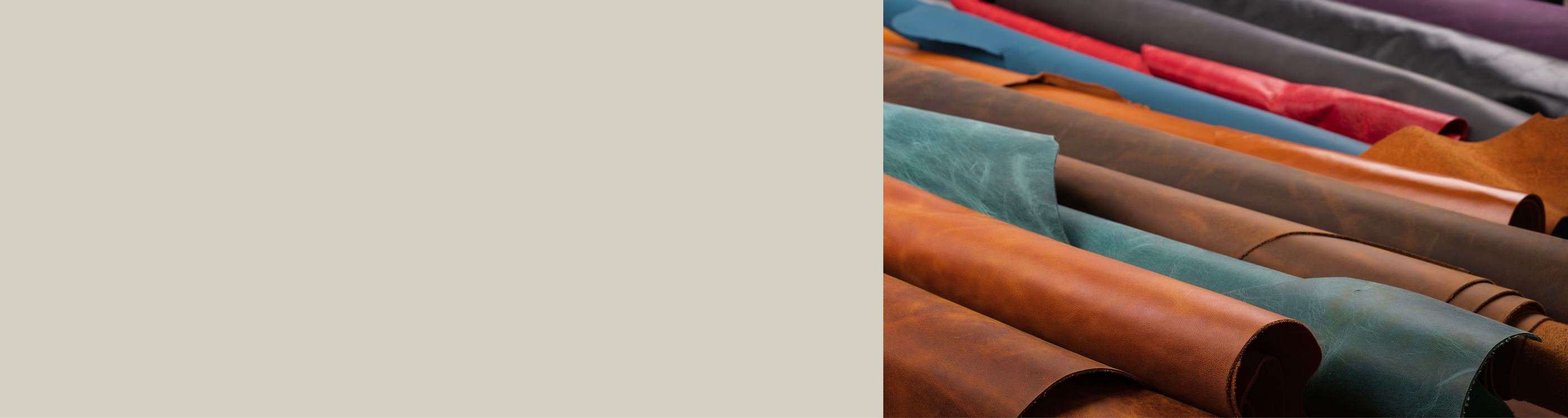 Exotic Leather Cases