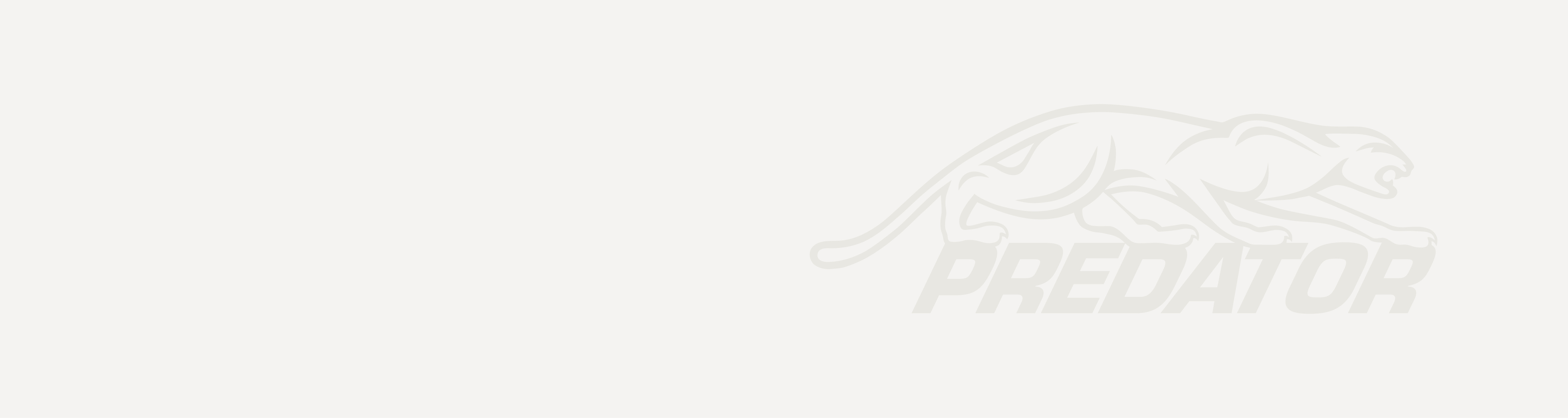 Predator Cues Cue & Case